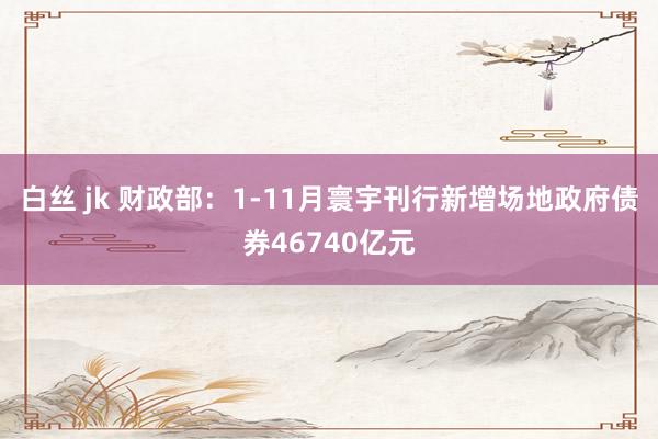 白丝 jk 财政部：1-11月寰宇刊行新增场地政府债券46740亿元