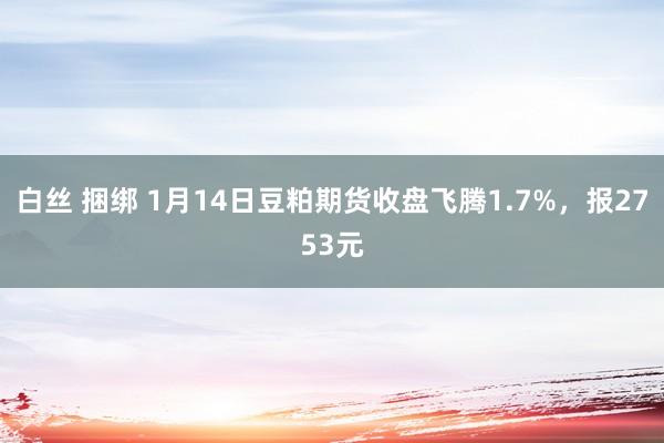 白丝 捆绑 1月14日豆粕期货收盘飞腾1.7%，报2753元